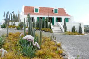 falco curacao 4881138