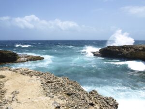 grafic vision sea 329811