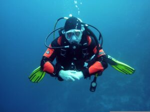 joakant diver 668777