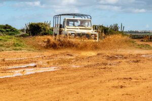 paulsadventures mud 7774095