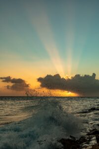 paulsadventures ocean 7774092