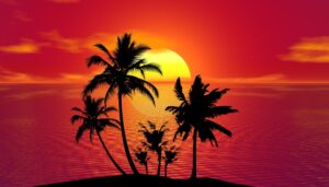 thedigitalartist tropical 1651423